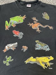 Vintage 90s All Over Print Front Back Nature Frogs Colorful Mens Boxy Large
