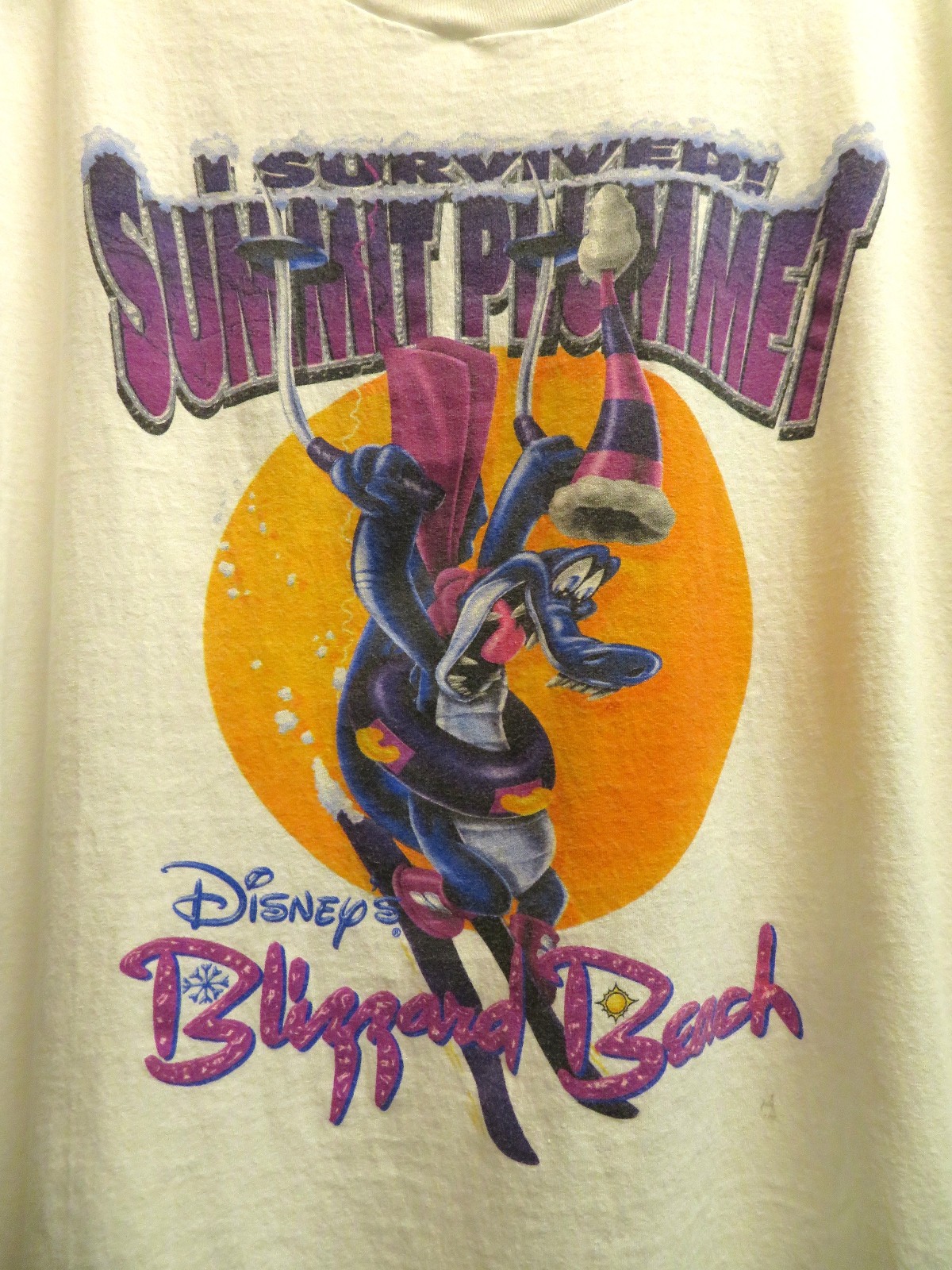 Vintage 90s Disney Blizzard Beach/Summit Plummit Men's XL tshirt-see Description gallery