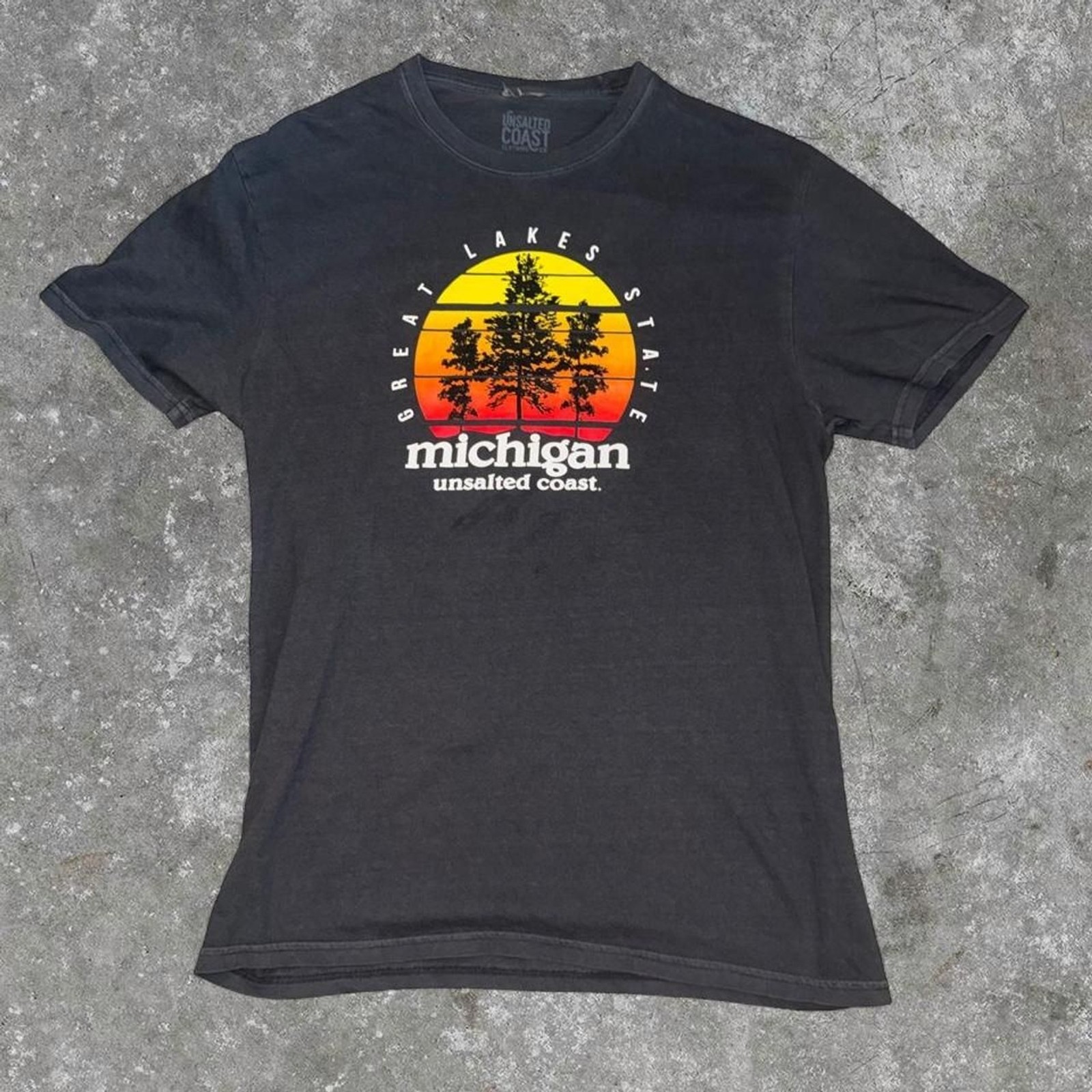 Unsalted Coast Michigan Great Lakes State Graphic T-Shirt Men’s Charcoal Gray Si gallery