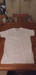 (S) Hanes Men’s Authentic-T Stylish T Shirt Casual Plain T-Shirt (Small)