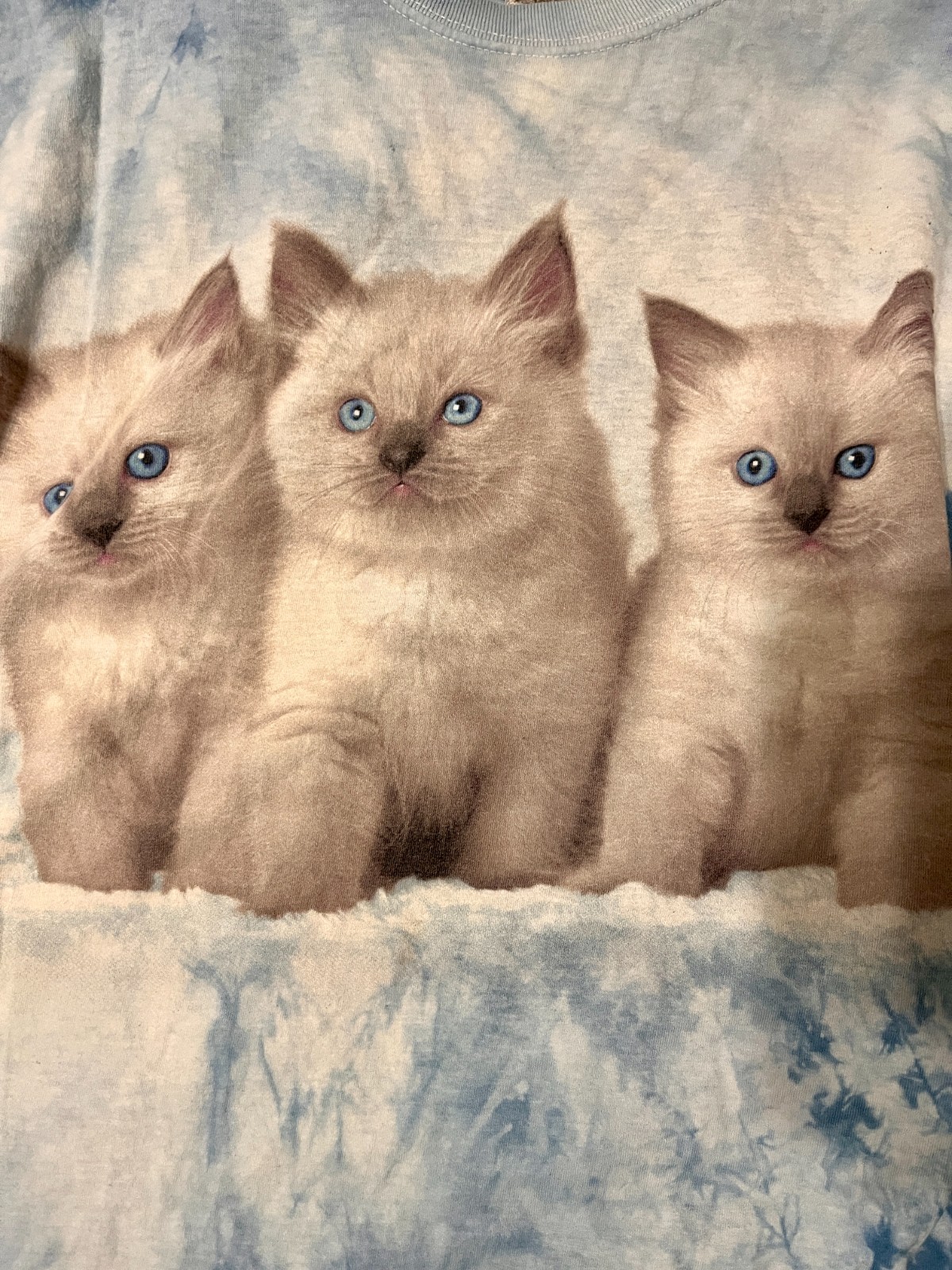 mountain lion kitten tiedye tshirt jerzees 2xl gallery