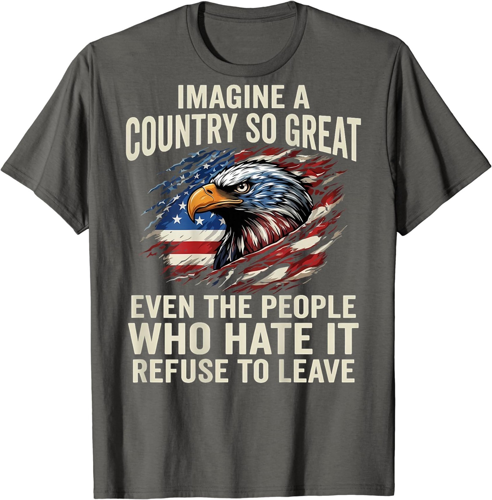(ON Back) Retro Imagine A Country So Great Even The People T-Shirt gallery