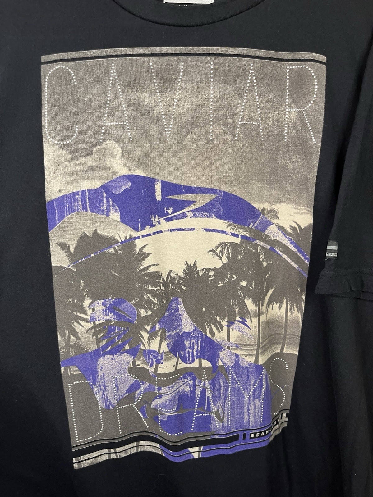 Y2K Sean John Caviar Dreams Bling Graphic T Shirt Hip Hop Streetwear Mens XL gallery
