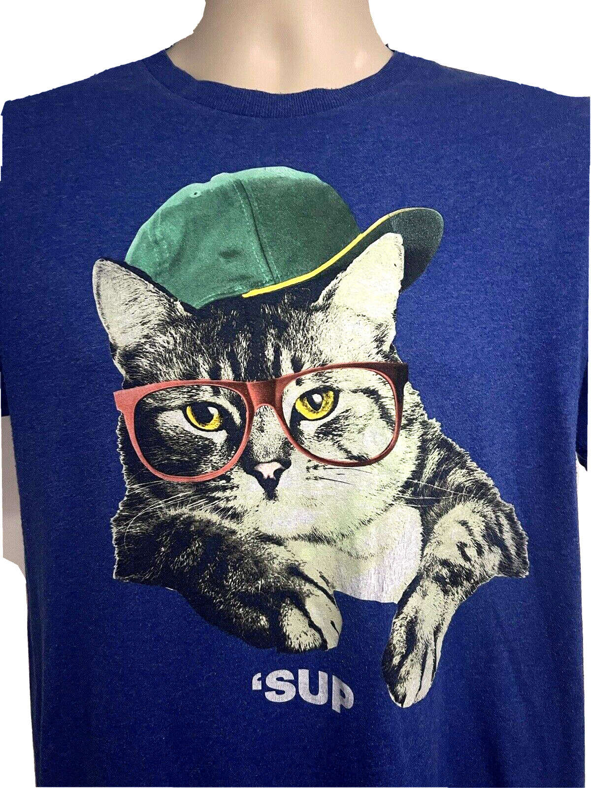 Hip Hop Streetwear Blue Graphic Novelty Cat T-Shirt Small Funny Animal Print gallery