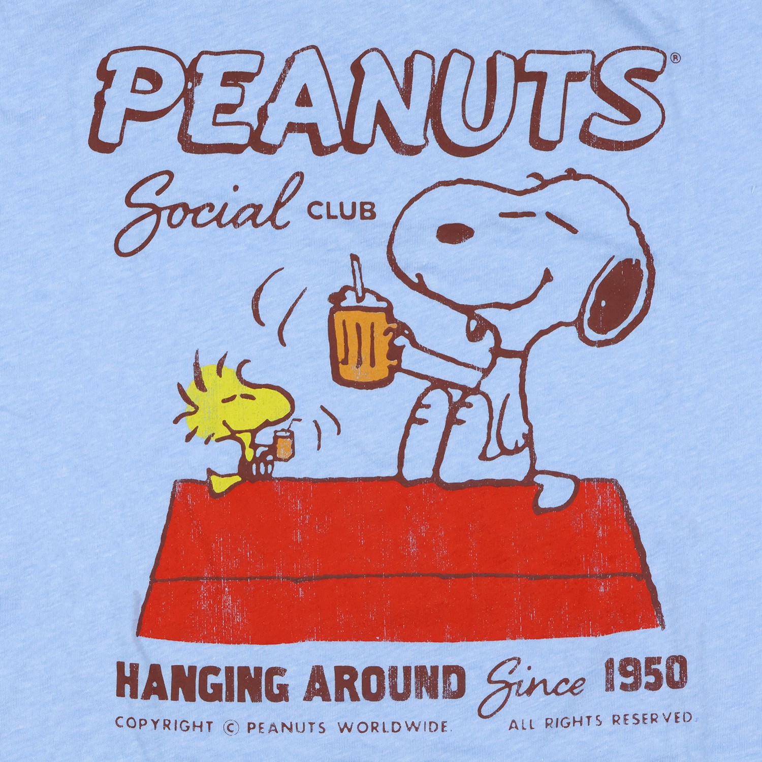 Peanuts Comics T-Shirt Snoopy and Woodstock Social Club Since 1955 Shirt gallery