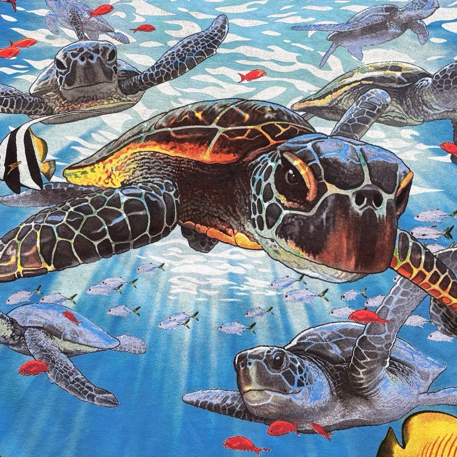 Liquid Blue Sea Turtles Aquatic Nature Blue Cotton Graphic Tee Men's Size Large gallery