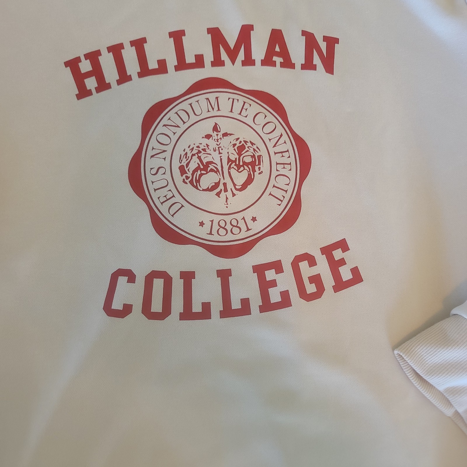 Hillman College Mens Extra Large Brown Sweatshirt Hoodie Pullover gallery