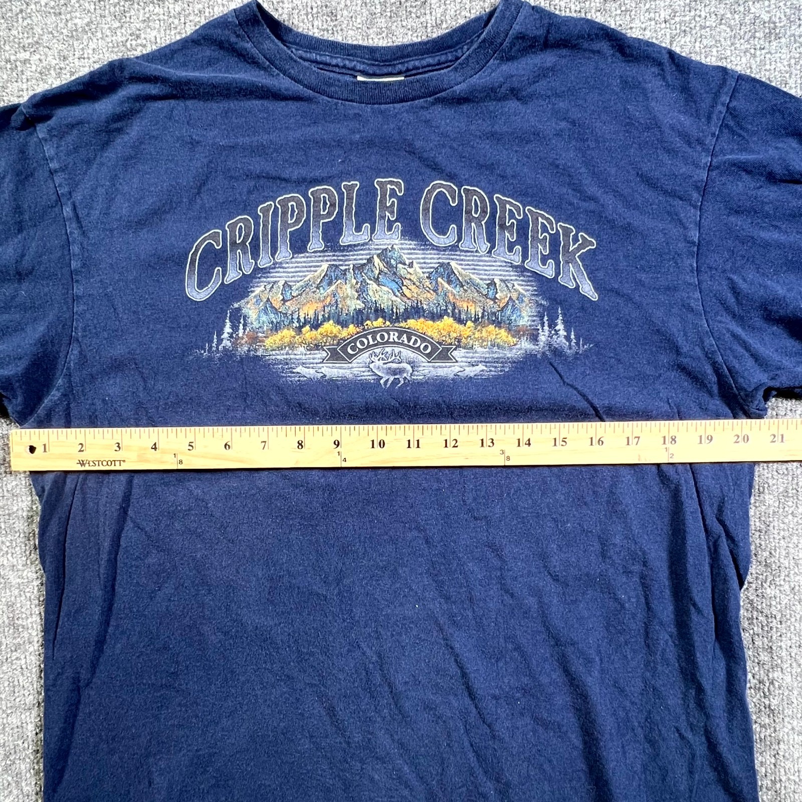 Delta Pro Weight T-Shirt Mens L Blue Cripple Creek Colorado Graphic Short Sleeve gallery