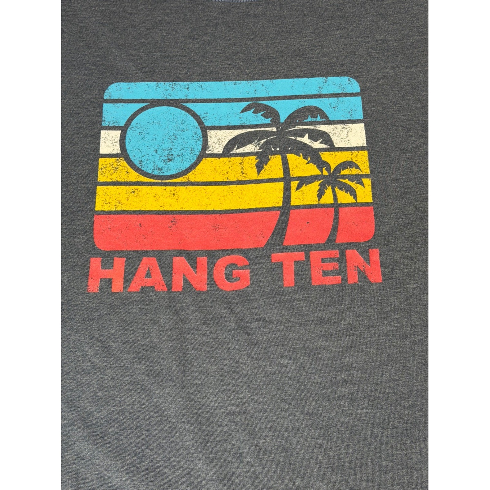 Hang Ten Mens Large Blue Heather Retro Sunset Palm Tree Graphic T-Shirt Surf Tee gallery