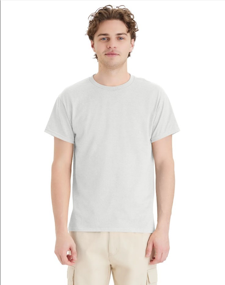Hanes 5170 5XL EcoSmart Crewneck Short Sleeve Tee Unisex Pit to Pit 31" Ash gallery