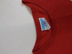 mens champion 100% authentic crewneck L/S t-shirt size large soild logo orange