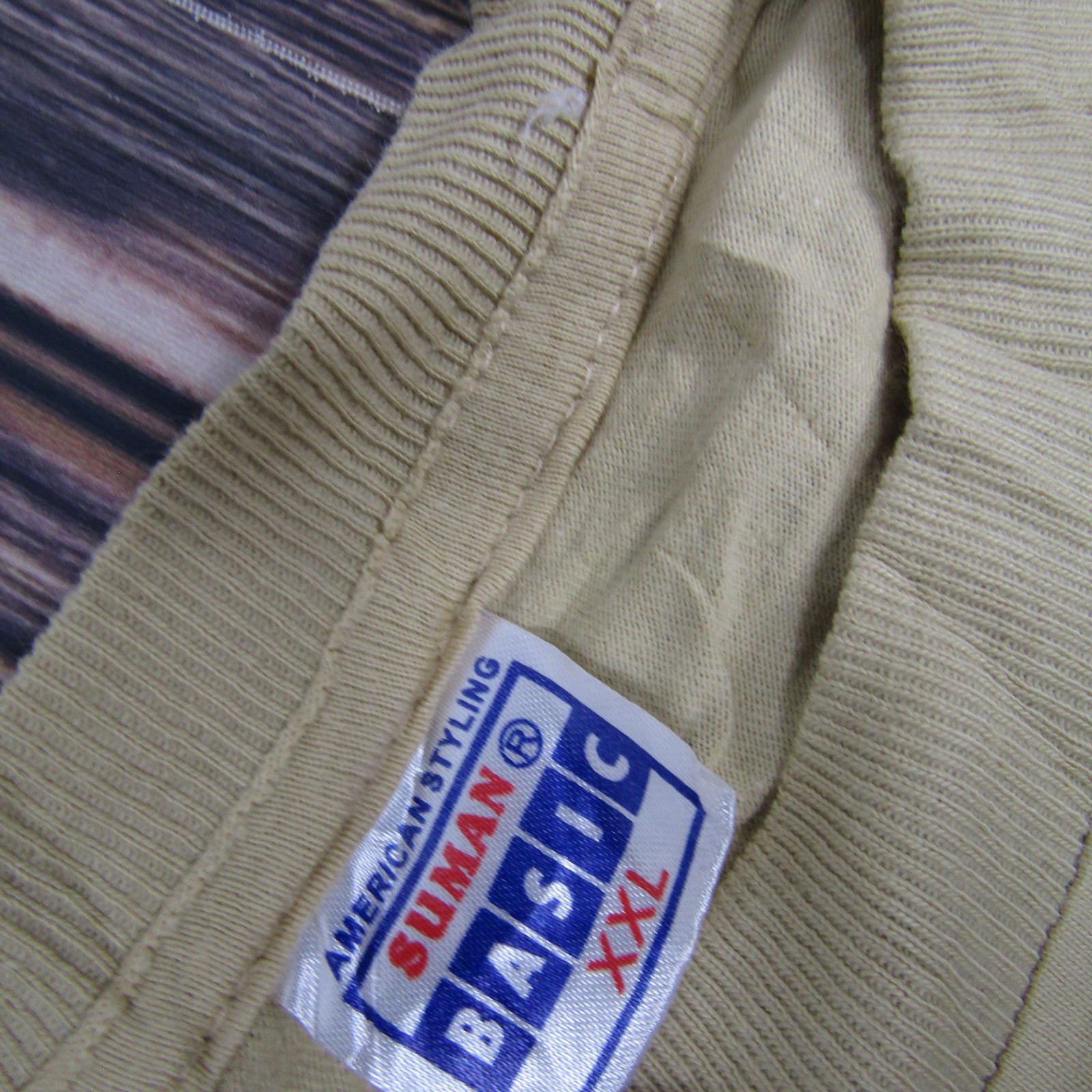 Vintage India Rajasthan Shirt Mens 2XL Tan Camel Desert Graphic Tourist Tee 90s gallery