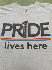 Comcast NBCUniversal Xfinity Pride Lives Here T-Shirt Stonewall 50 LGBT Pride M