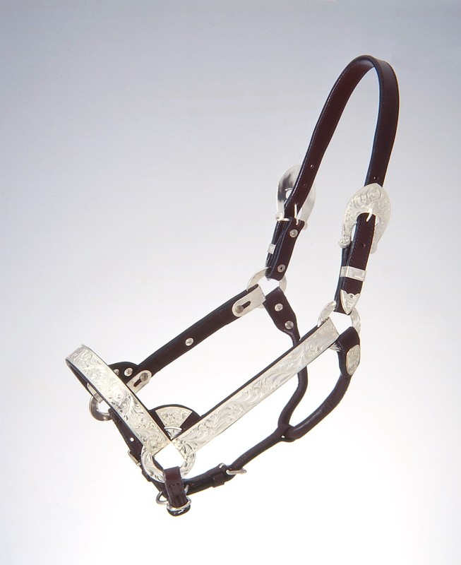 Silver Show Halter – Miniature Horse Sz Large – Dark Oil Leather – Matching Lead