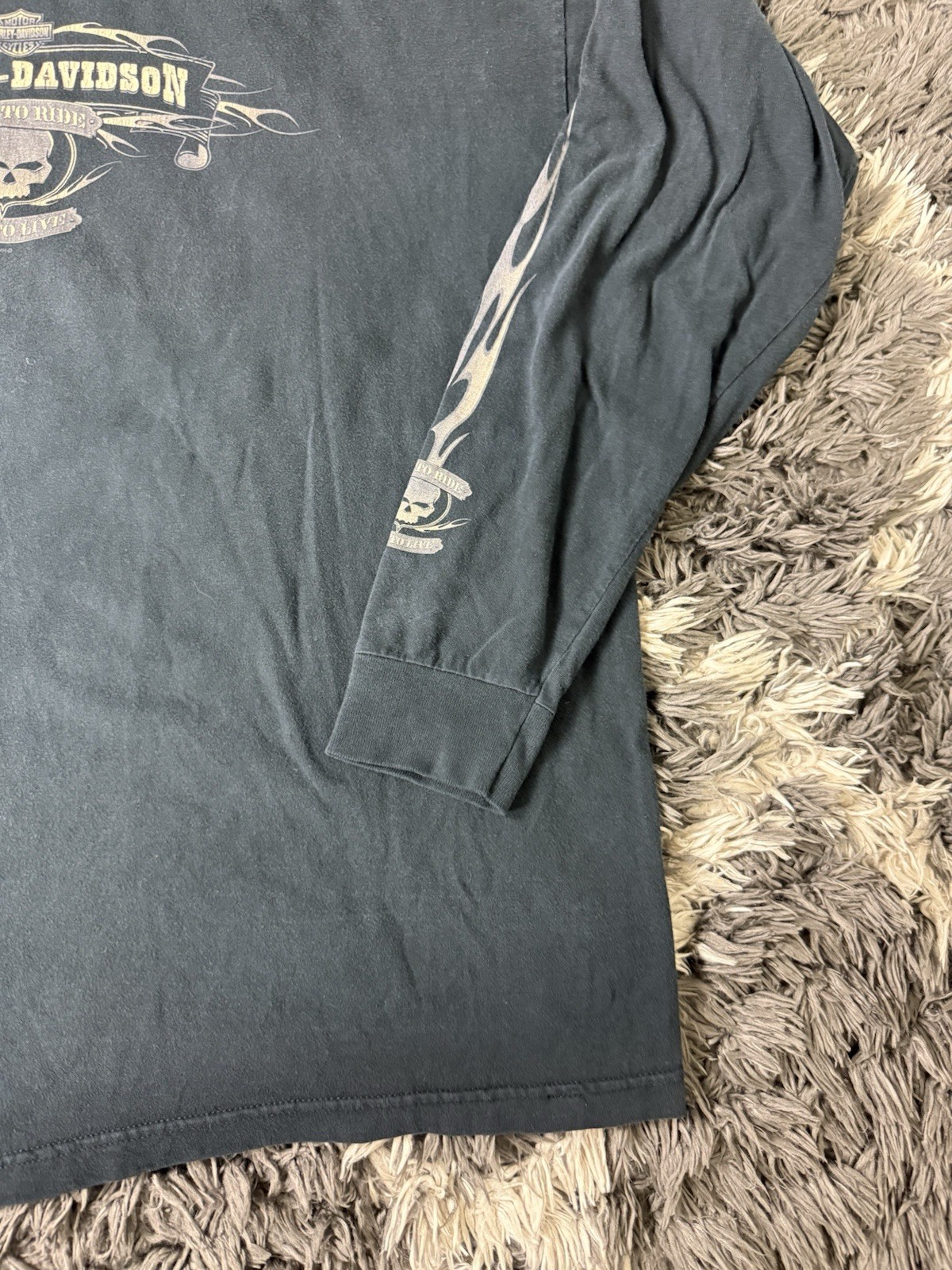 Vintage Harley Davidson T Shirt 2X Flame Naples Florida Lizard Skull Long Sleeve gallery