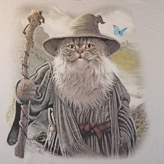 The Mountain Catdalf Wizard Cat Graphic Tee L NWOT Gandalf Parody Fantasy Gray