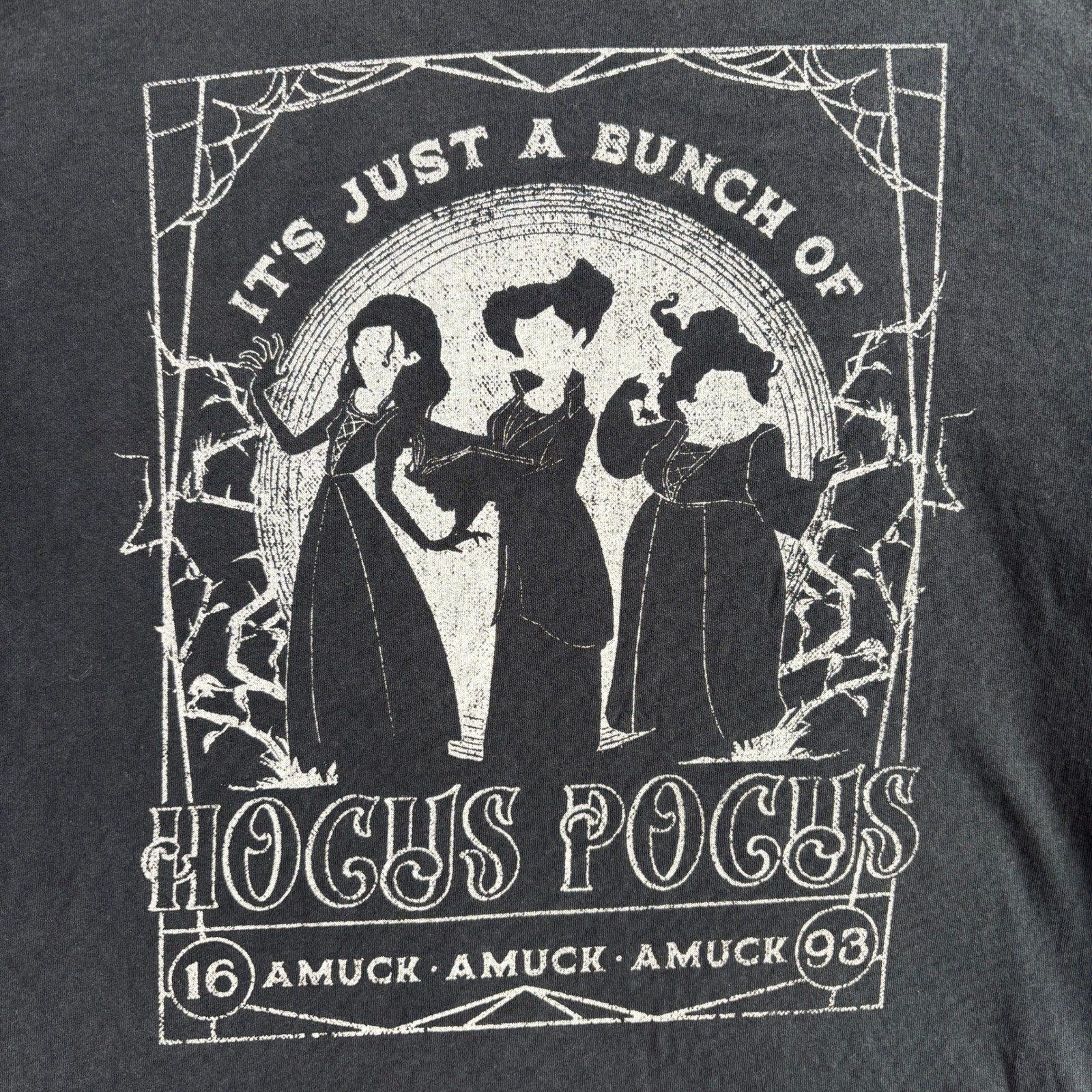Disney Hocus Pocus Sanderson Sisters Graphic T-Shirt Charcoal Gray Unisex Medium gallery