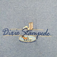 Alstyle Apparel Dixie Stampede Embroidered T-Shirt Mens XL Blue Polycotton
