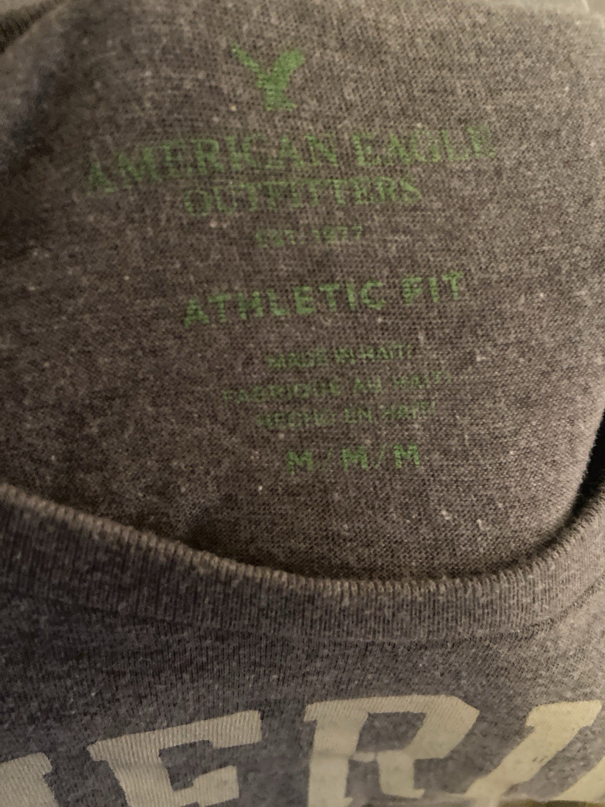 American Eagle Outfitters Men's Graphic Logo Athletic Fit Crew Neck Tee Gray M gallery