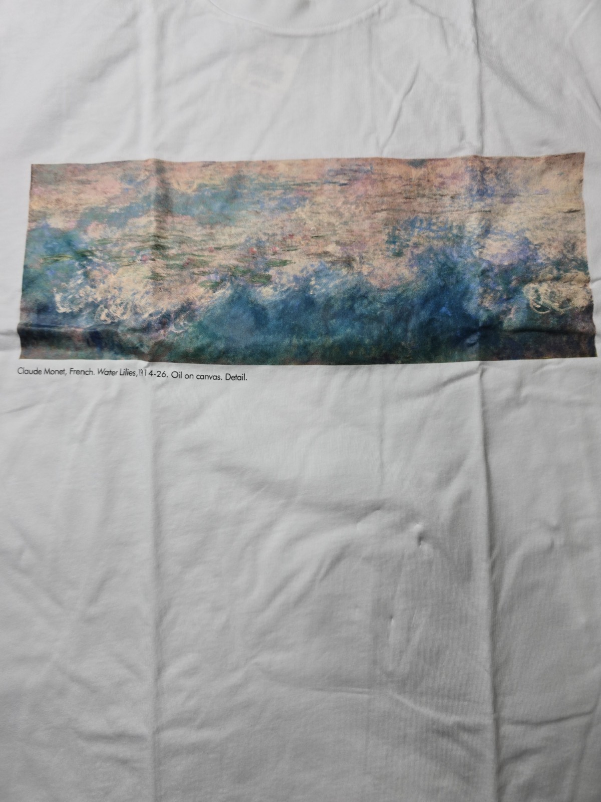 Uniqlo UT Moma Cluade Monet Graphic T Shirt Size L Art gallery