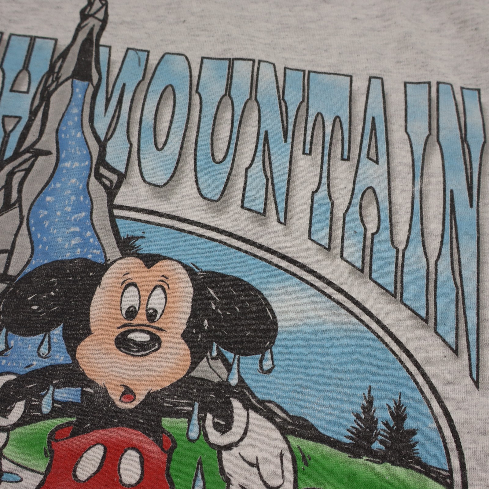Vintage Disney Splash Mountain Shirt Mens Large Mickey Mouse Retired Ride Tee gallery