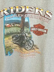Birmingham AL Riders Harley Davidson Graphic T-Shirt Men’s XXL Gray Sleeveless