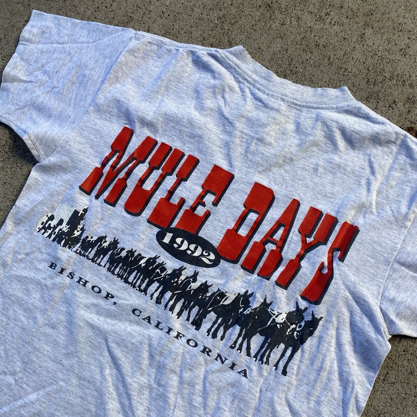 Vintage 90s MULE DAYS Tee Shirt Bishop Lone Pine Mt. Whitney Grey Medium gallery