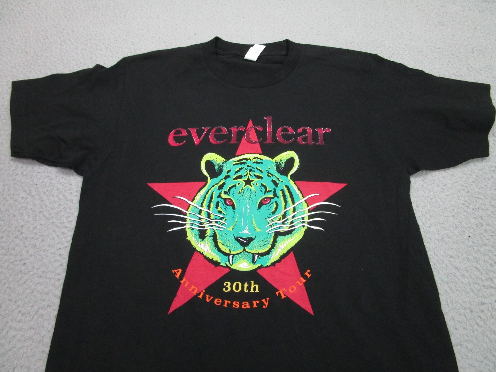 Everclear Shirt Mens medium Black 30th anniversary 90s y2k band Rock Punk Skate gallery
