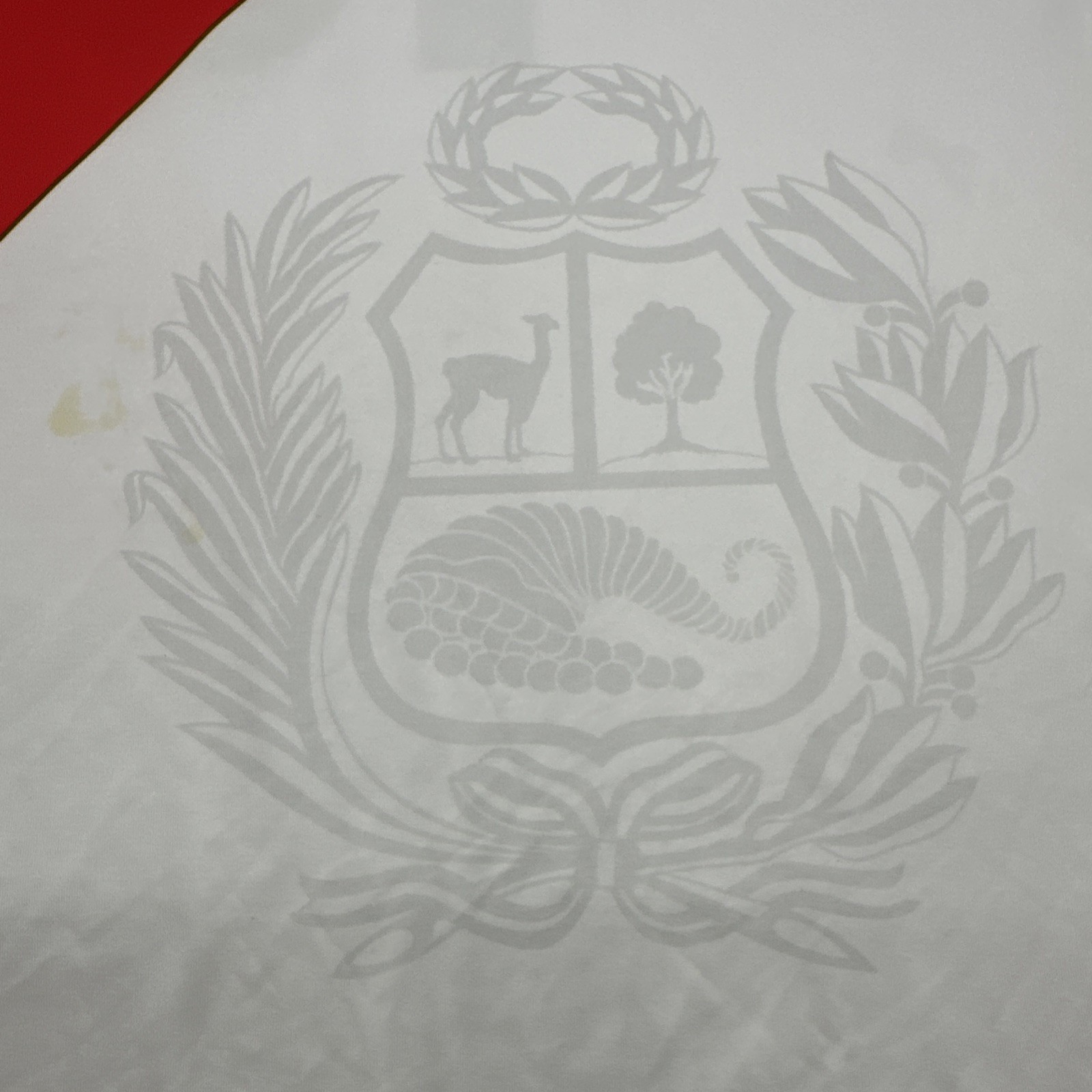 Token Soccer FPF Peru Hernandez #13 Jersey Men One Size Graphic Logo.#31714 gallery