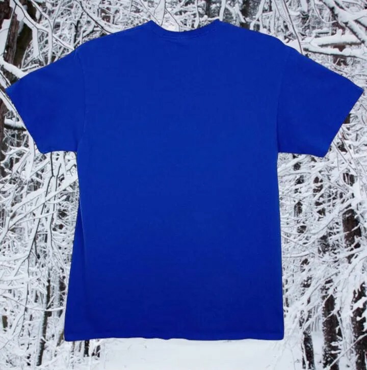 Men's Graphic T-shirt Size Large "I've Been Good-ish All Year" Blue 100% Cotton gallery