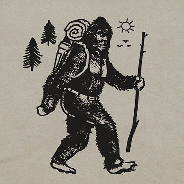 Bigfoot Camping T Shirt Hiker Tee Vintage Yellowstone Yosemite Men National Park gallery
