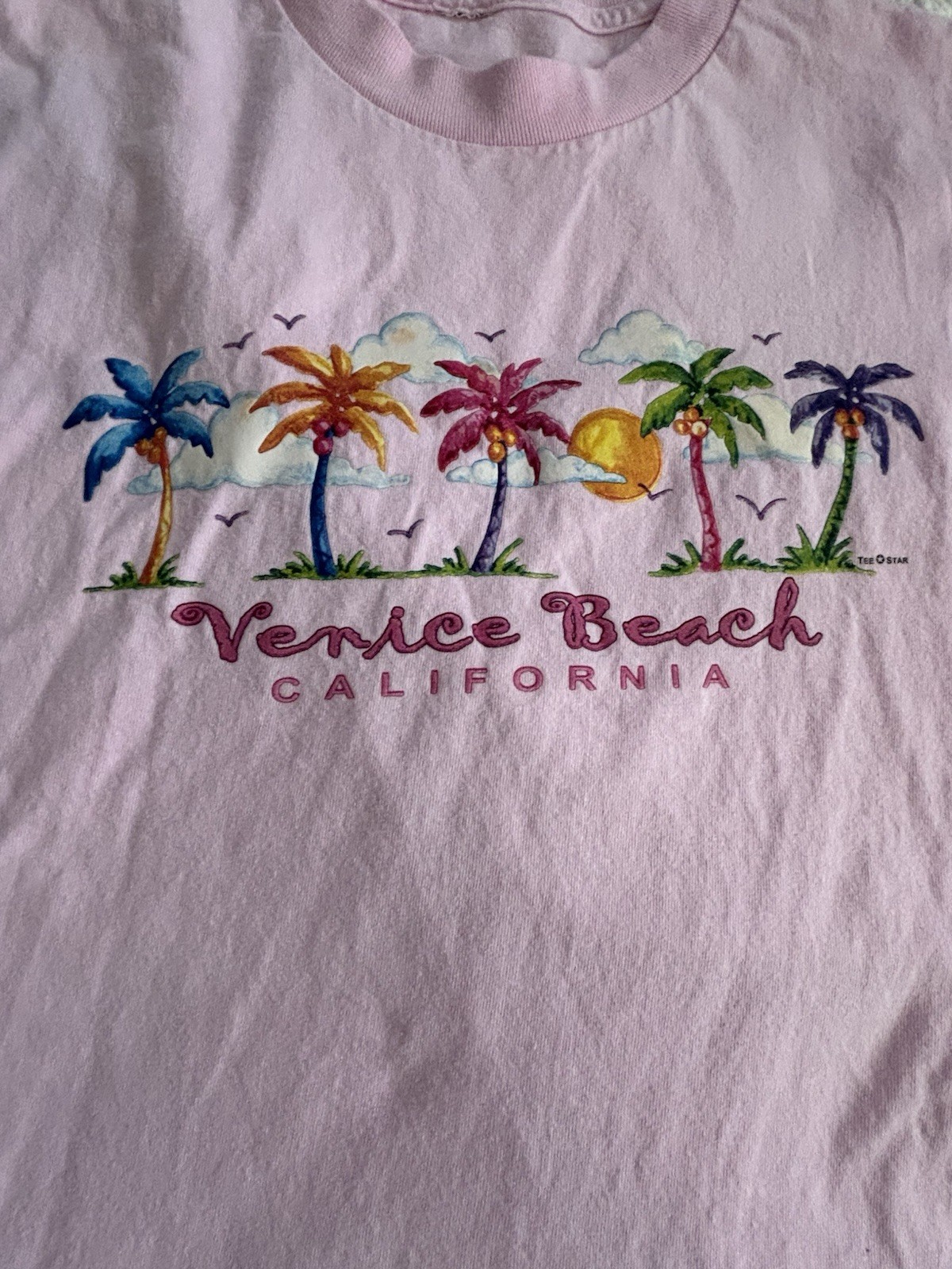 Vtg Sunshine & Waves Surfing Venice Beach California Los Angeles Graphic T-shirt gallery