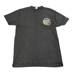 Santa Cruz Double-Sided Logo Graphic Print Black Crew Neck T-Shirt Men’s M