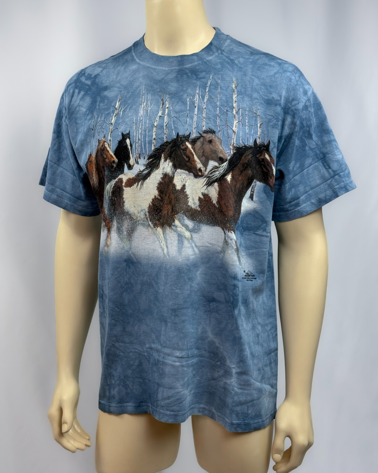Vintage 1999 The Mountain Horse Snow T Shirt Large Blue Tie Dye Wild Wings USA gallery