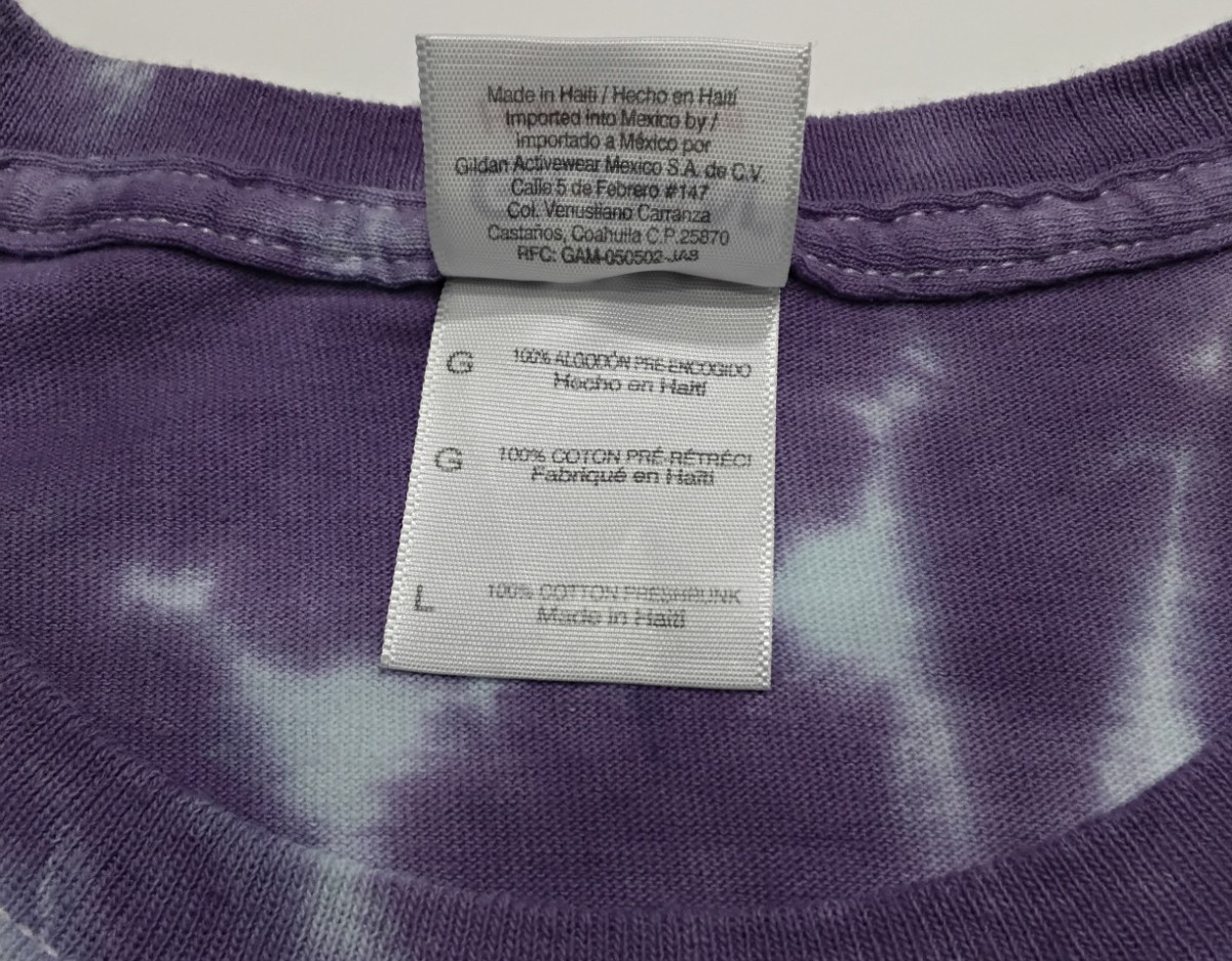 New Tie Dye Men's T-Shirt Purple Blue Adult Large Multicolor Summer Spiral gallery