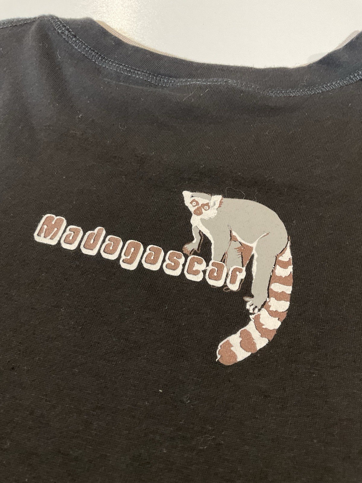 Vintage Madagascar Lemurs T Shirt Sz M Tourist Tee Funny Y2K gallery
