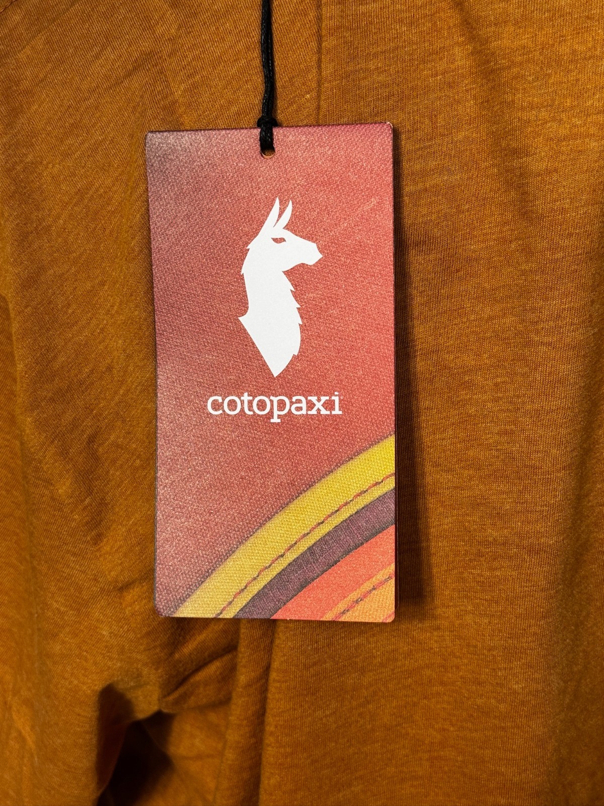 Cotopaxi Disco Wave Organic T-Shirt Men's XL Saddle Retro Graphic NWT gallery