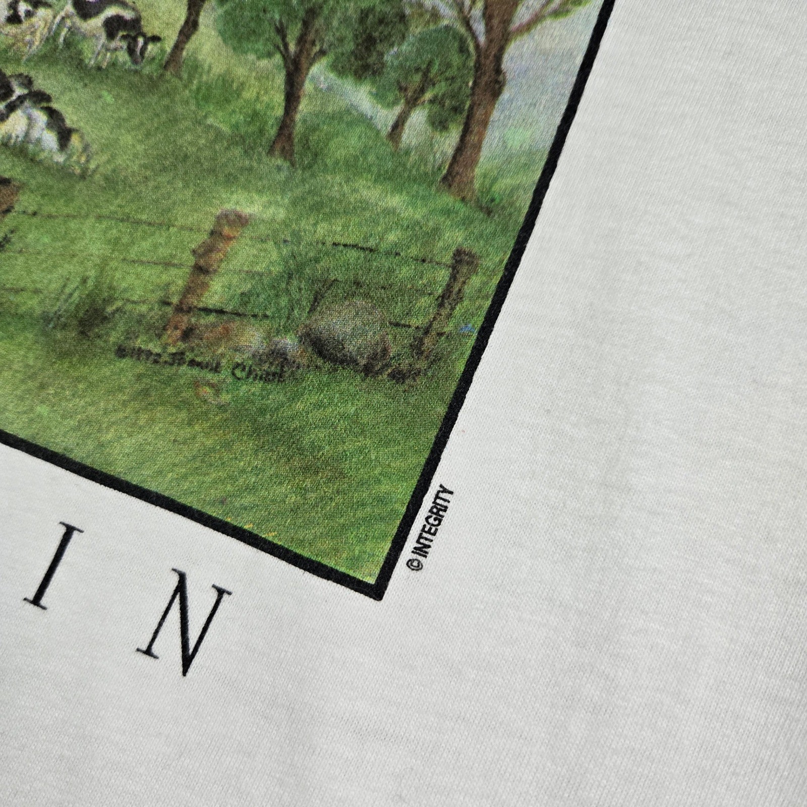 Vintage Wisconsin T-Shirt Mens XL White Cow Farm Graphic 90s Made USA Hanes gallery