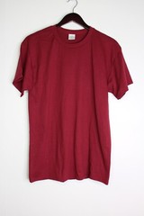 Mens Hanes Ecosmart Short Sleeve Tee Cardinal Size Medium
