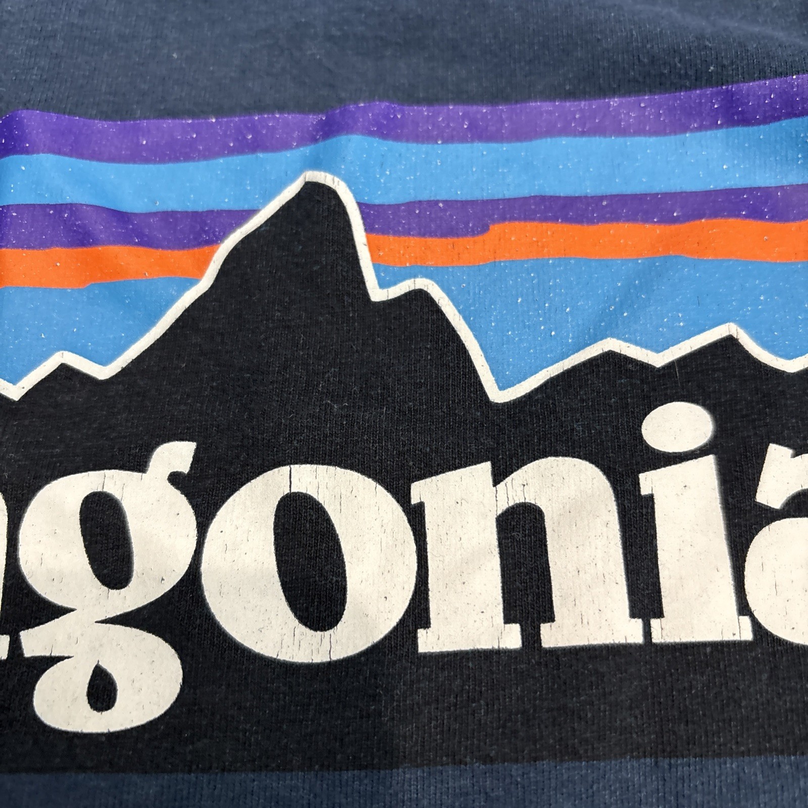 Patagonia Responsibili-Tee Long Sleeve Shirt Mens M Blue Logo Nature Hiking gallery
