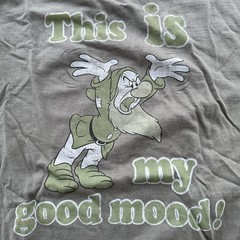 Disney Grumpy My Bad Mood Vintage Style T Shirt Snow White Cute Funny Florida
