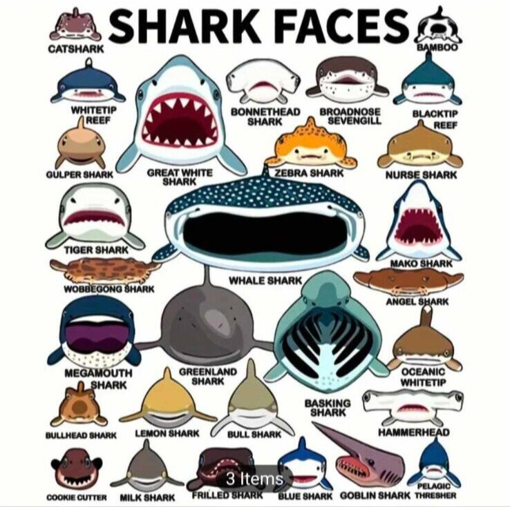 Custom 'Shark Faces" Graphic Tee - Aquatic, Marine, Funny gallery