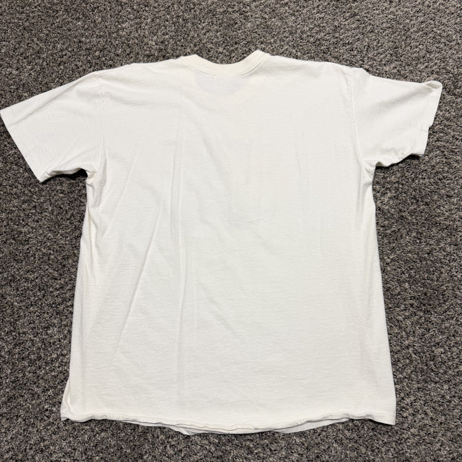 Vintage Arizona T-shirt Size XL White Stedman 90s Dry Heat - Distressed gallery