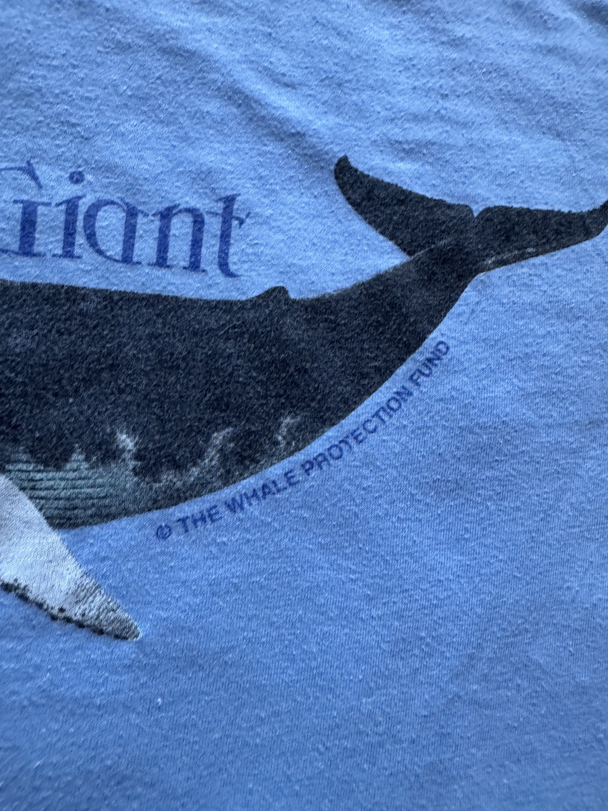 True Vintage 1970s “Gentle Giant” Humpback Whale Wildlife Conservation T-Shirt L gallery