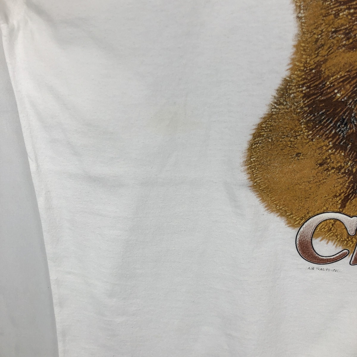 Used 90'S-00'S Fruit of the Loom Chow Chow dog print animal t-shirt men's si... gallery