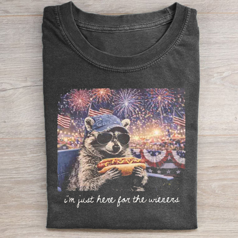 Retro I Live Here Raccoon Washed T-shirt Heavyweight Cotton Graphic Funny Tee gallery