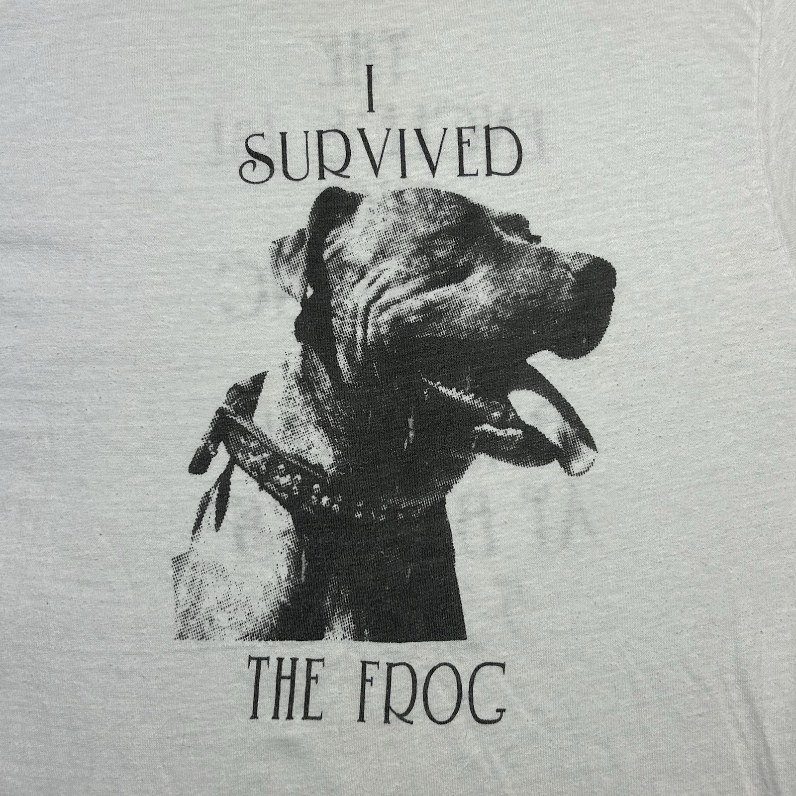 Vtg 80s Ringer Shirt Pig Wrestling Big Al’s Bbq I Survived The Frog Dog Mens XL gallery