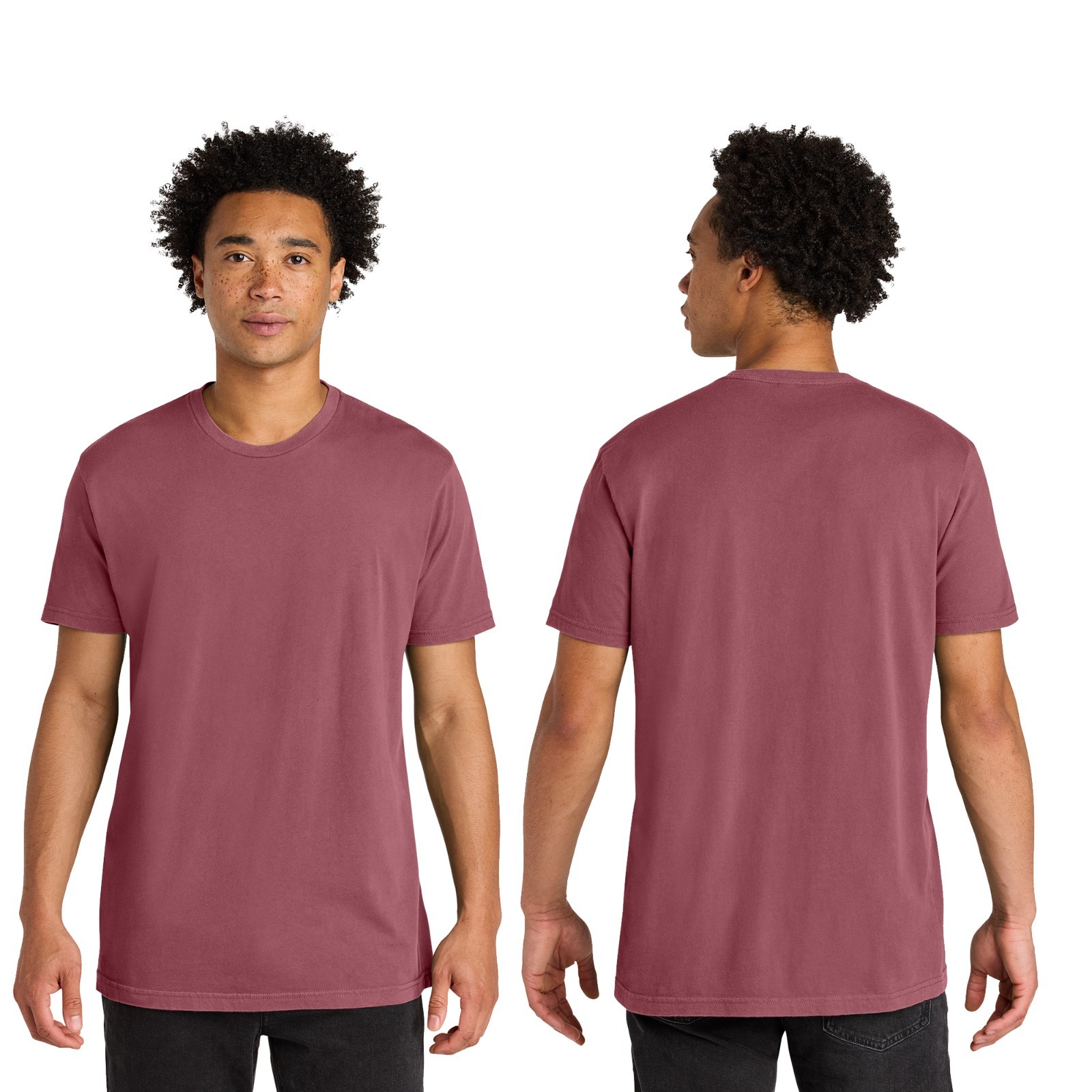 Mens Next Level Apparel Premium Soft Wash Cotton Tee Plain Blank Casual NL3600SW gallery