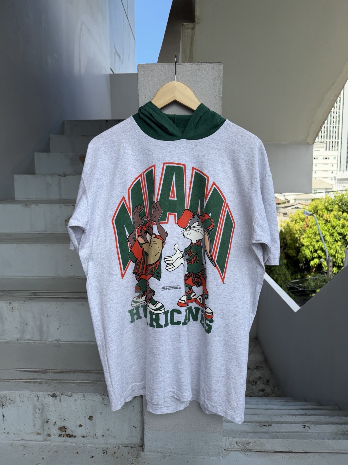 Vintage 1993 Taz Tasmanian Devil Hooded T-Shirt XL Looney Tunes Single Stitch US gallery
