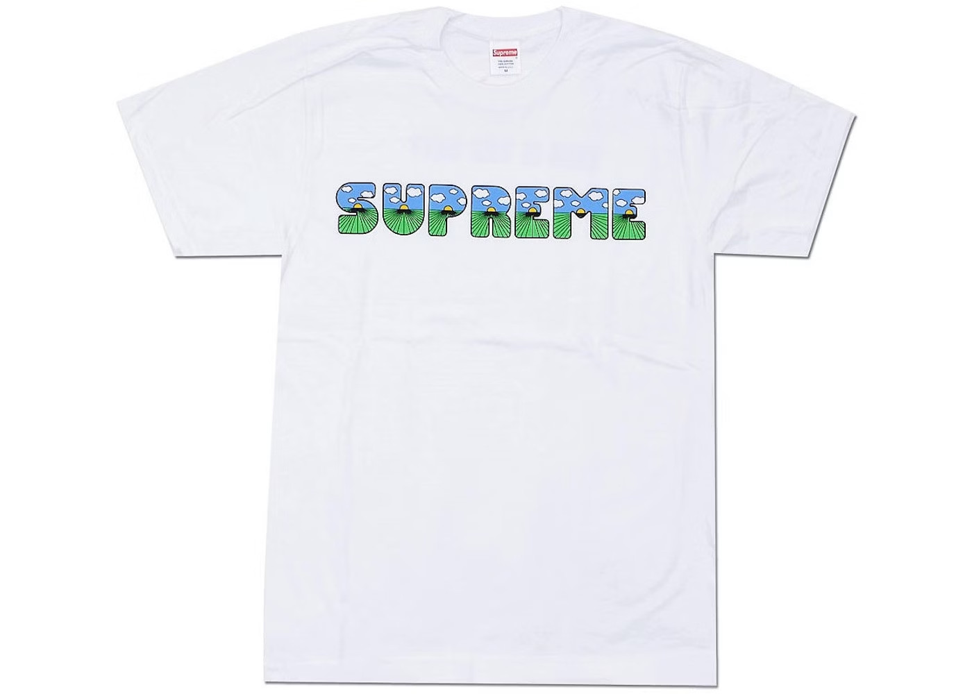 BRAND NEW SS16 SUPREME TEE T-SHIRT SH*T TEE 2016 WHITE MEIDUM M BOX LOGO TNF